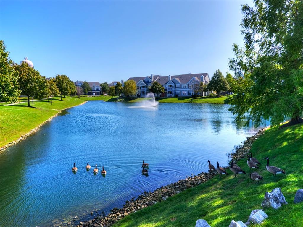 Preserve At Cantera Image 40