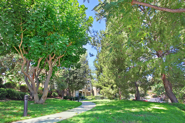 Alta Vista Image 15