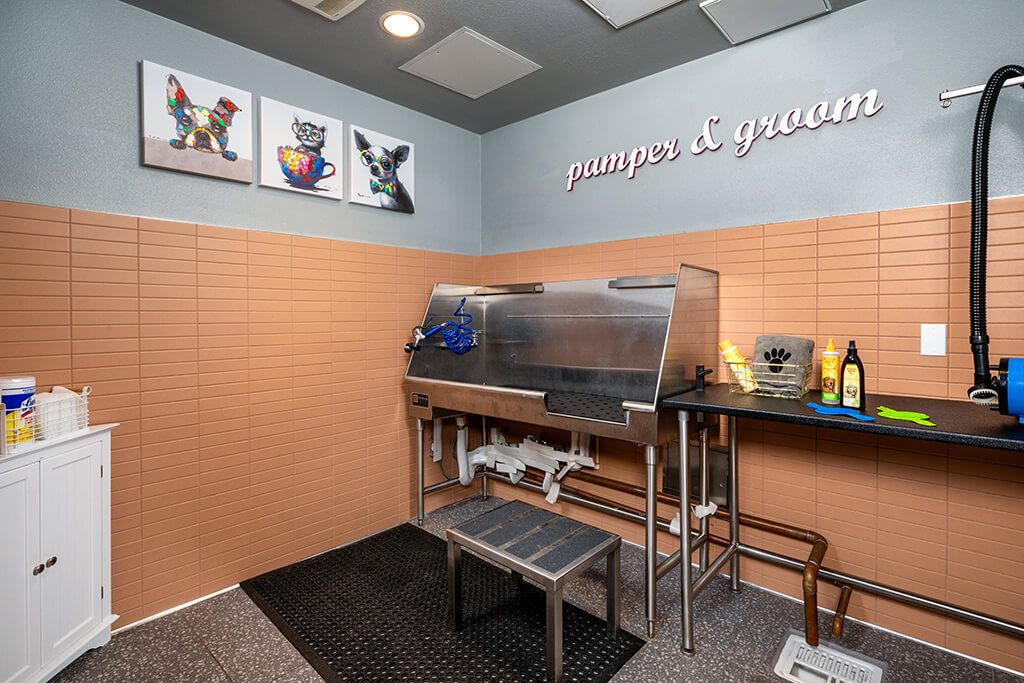 Chroma Apartment Homes Image 49