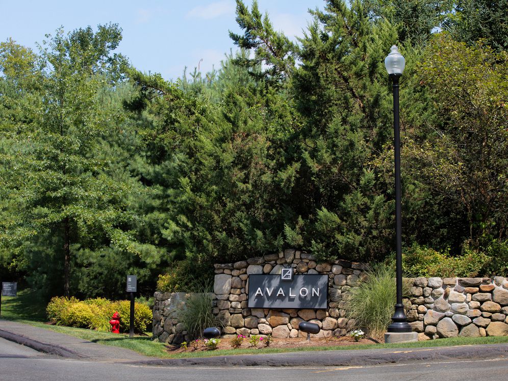 Avalon Acton Image 7