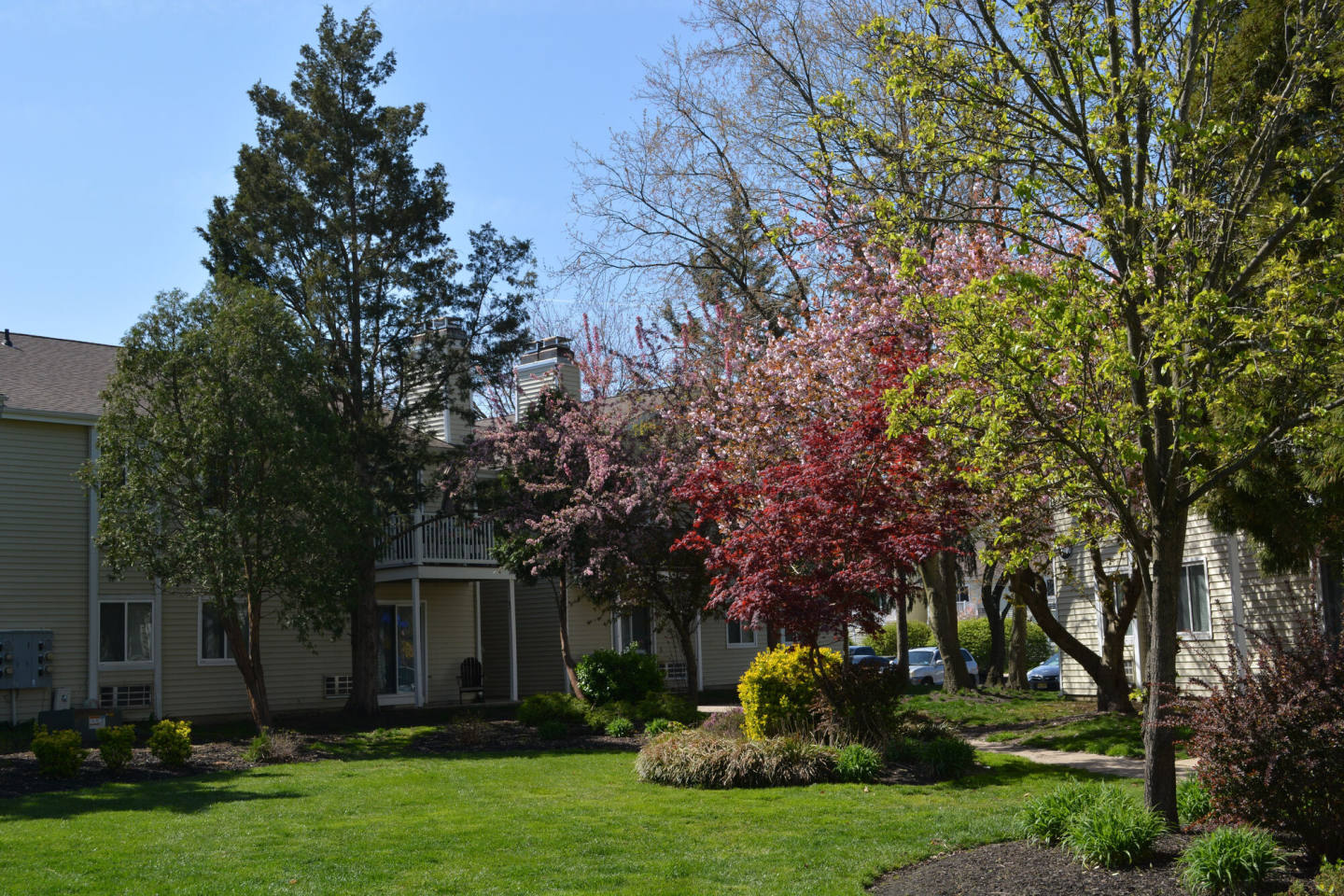 The Village at Voorhees Image 34