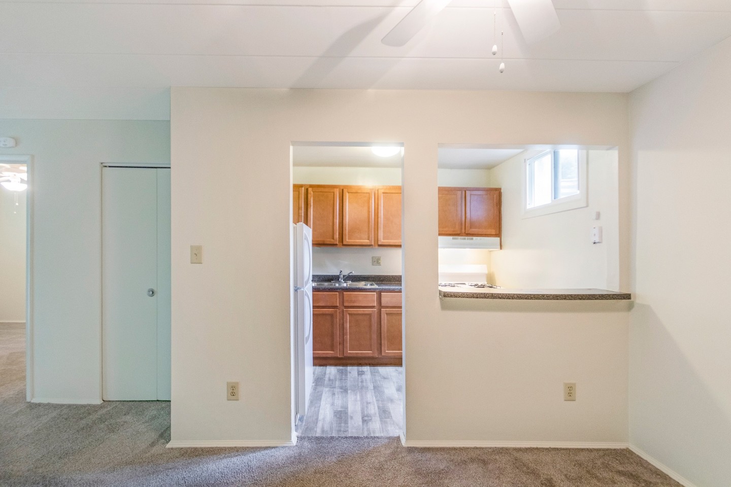 College Woods Image 35