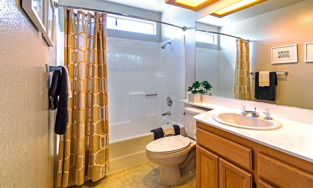 Sofi Canyon Hills Image 12