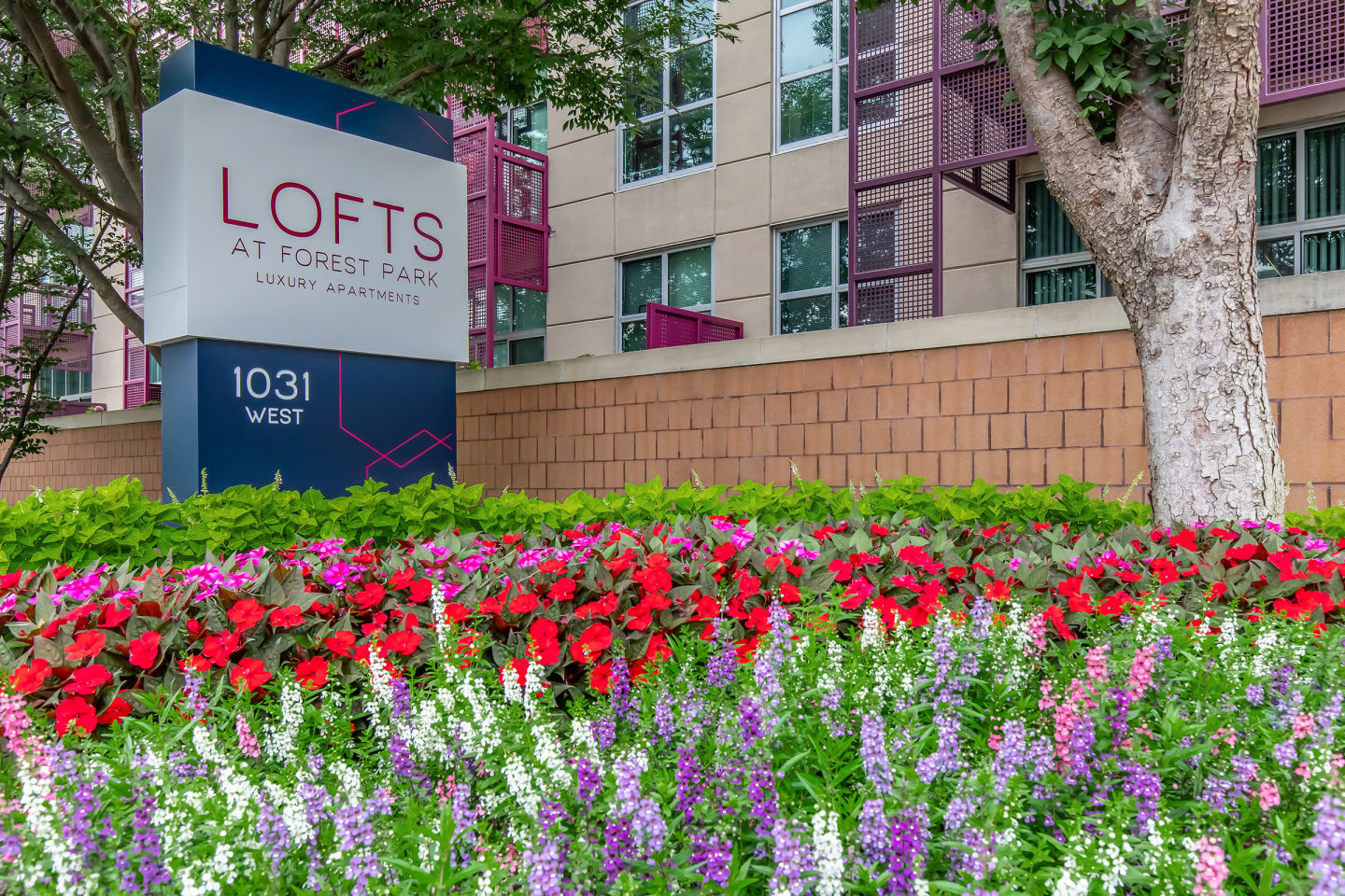 Lofts at Forest Park Image 1