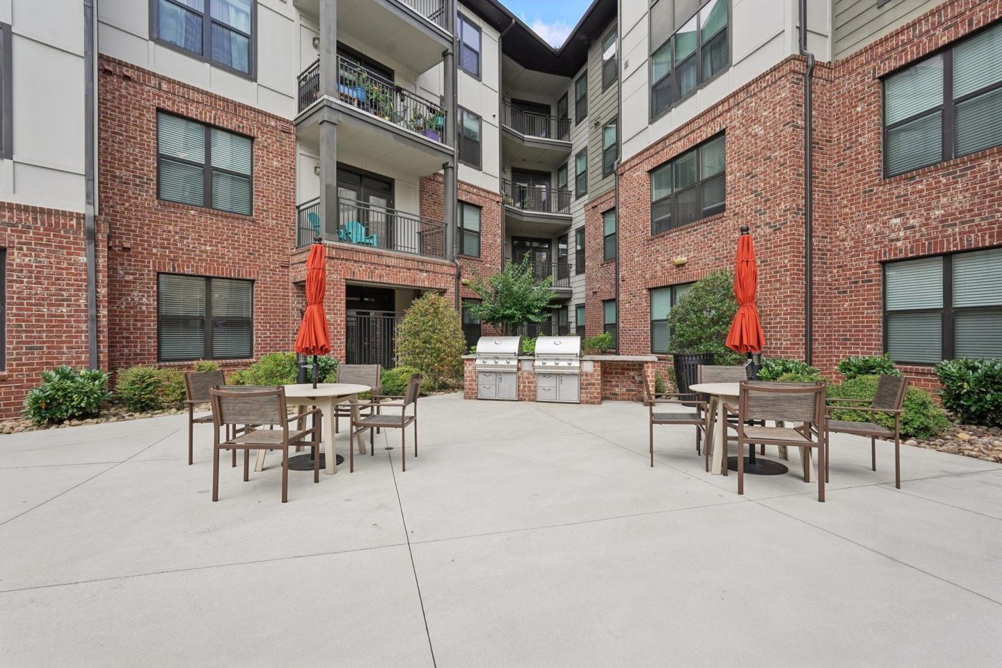 The Kirkwood Image 49