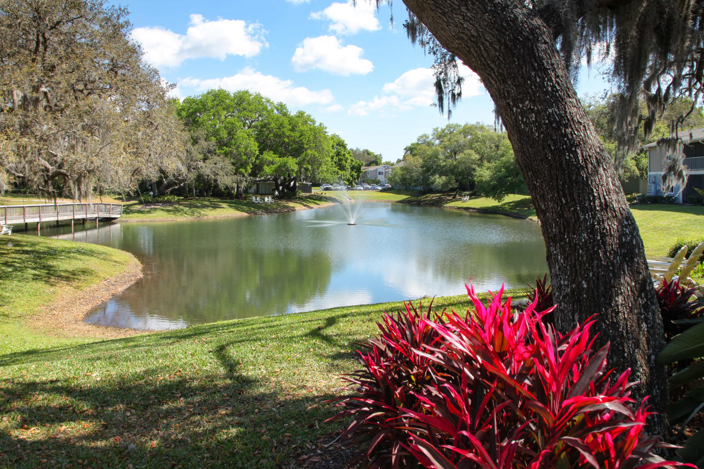 Agora at Port Richey Image 23