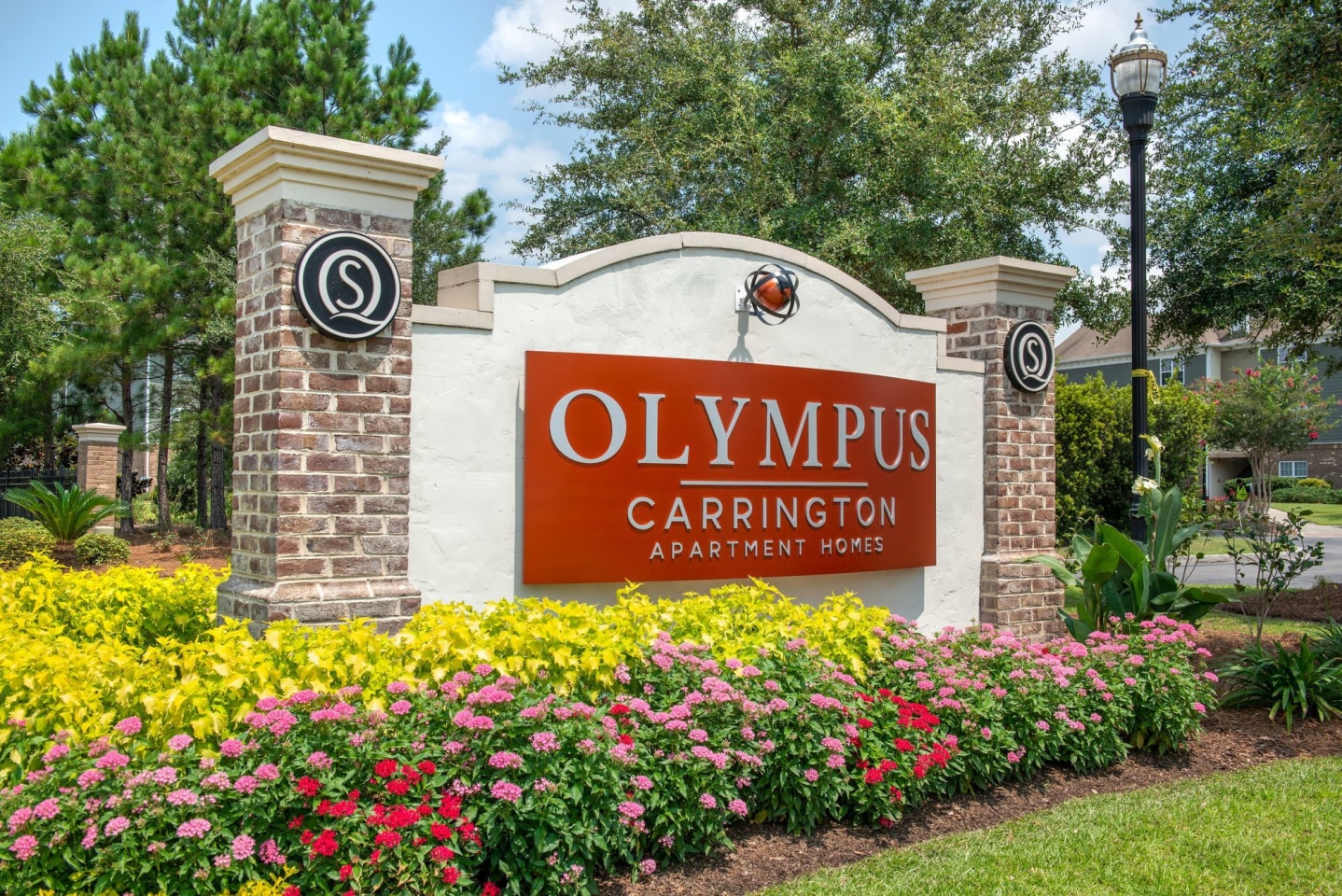 Olympus Carrington Image 46