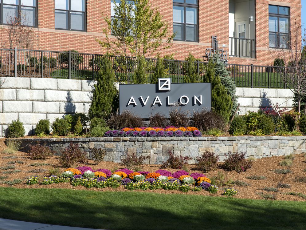 Avalon Quincy Image 1