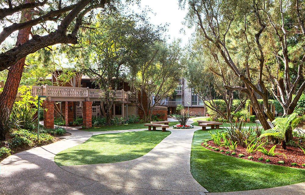 The Meadows - Newly Renovated Image 18