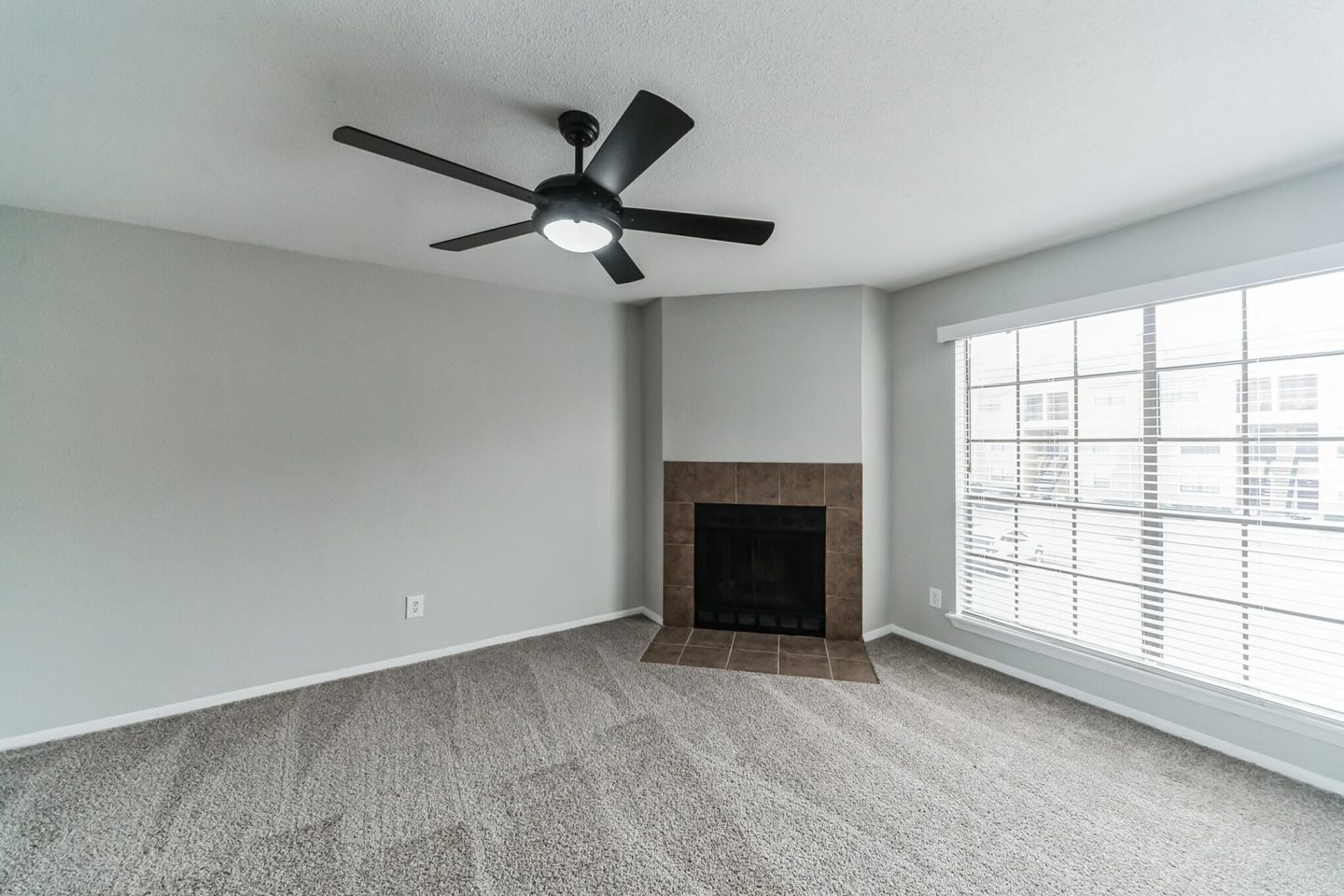 Park at Cedar Lawn Apartments Image 14