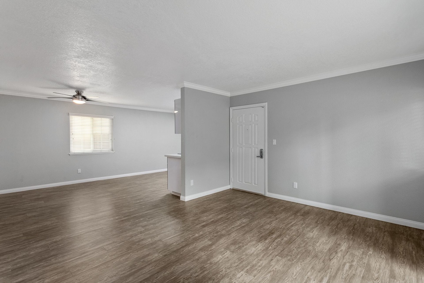 Solara Image 25