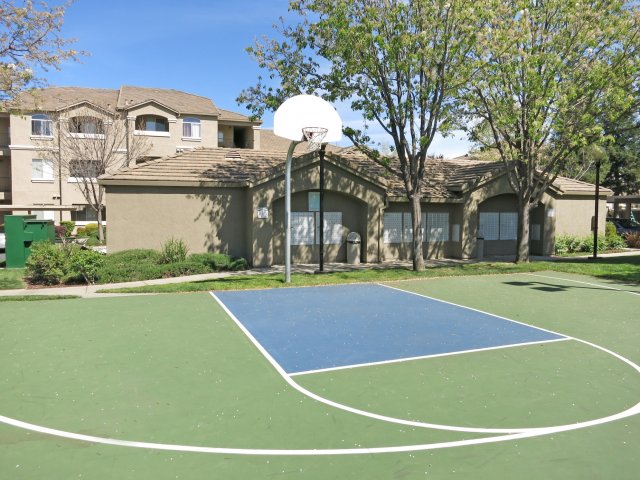 Pinnacle at Galleria Luxury Apartments Image 10