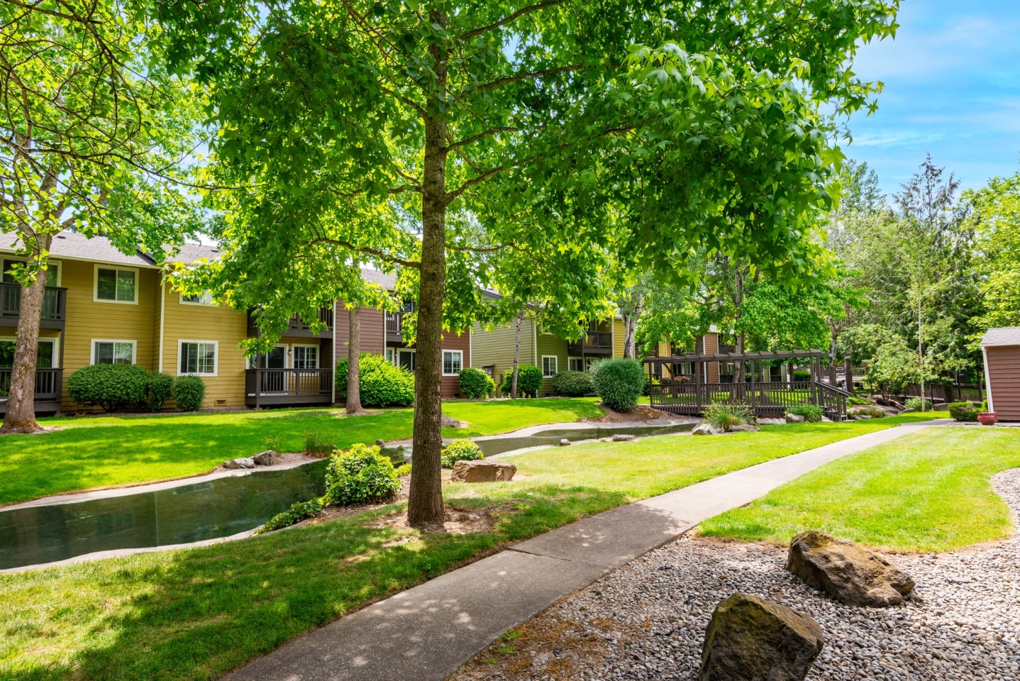 Aspen Glade Image 6