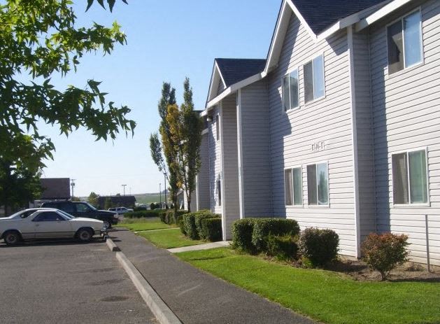 Pioneer Park Image 2