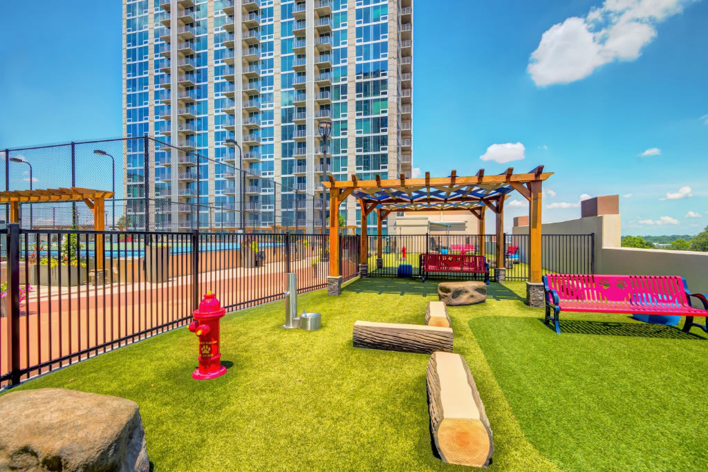 Skyhouse Uptown North Image 3