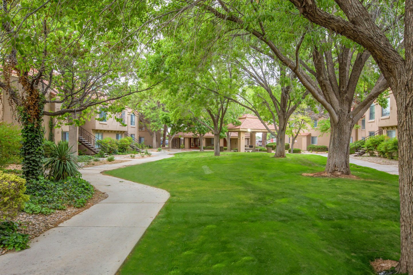 Cinnamon Tree Apartments Image 34
