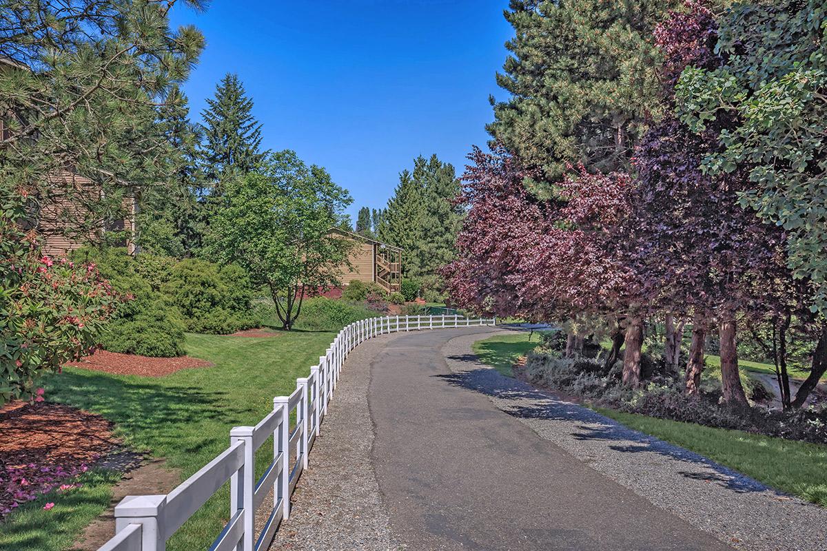 Tamaron Ranch Image 2