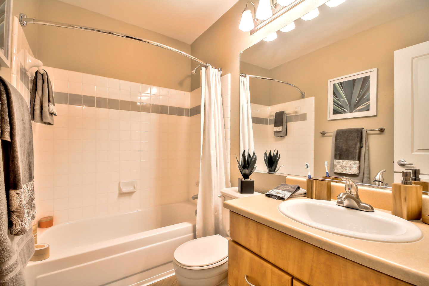 Rosemeade Apartment Homes Image 33