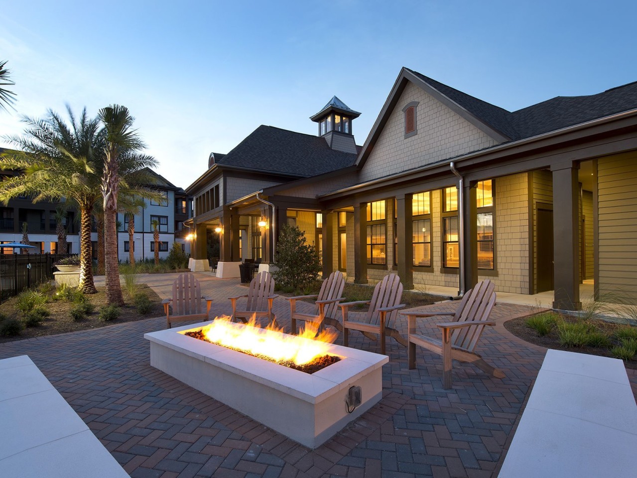 White Palm Image 19