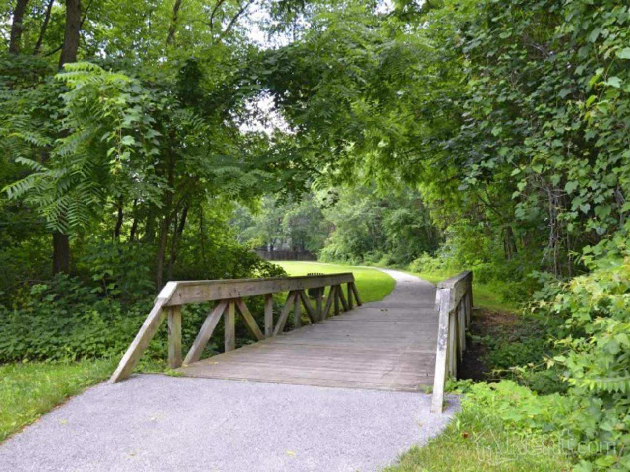 Harpers Forest Image 15