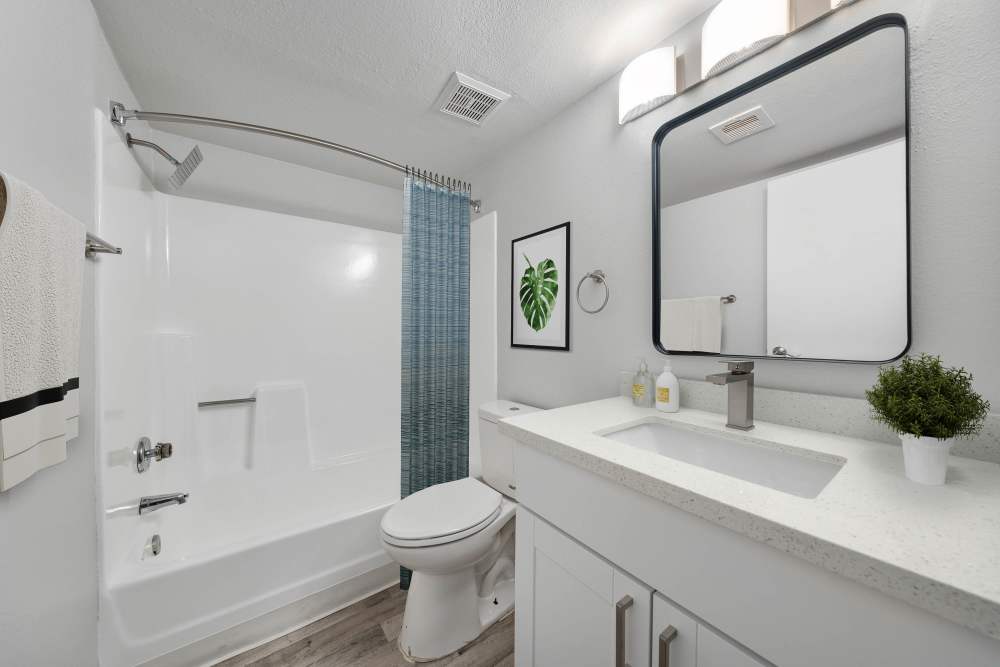 Newport Apartments Image 6
