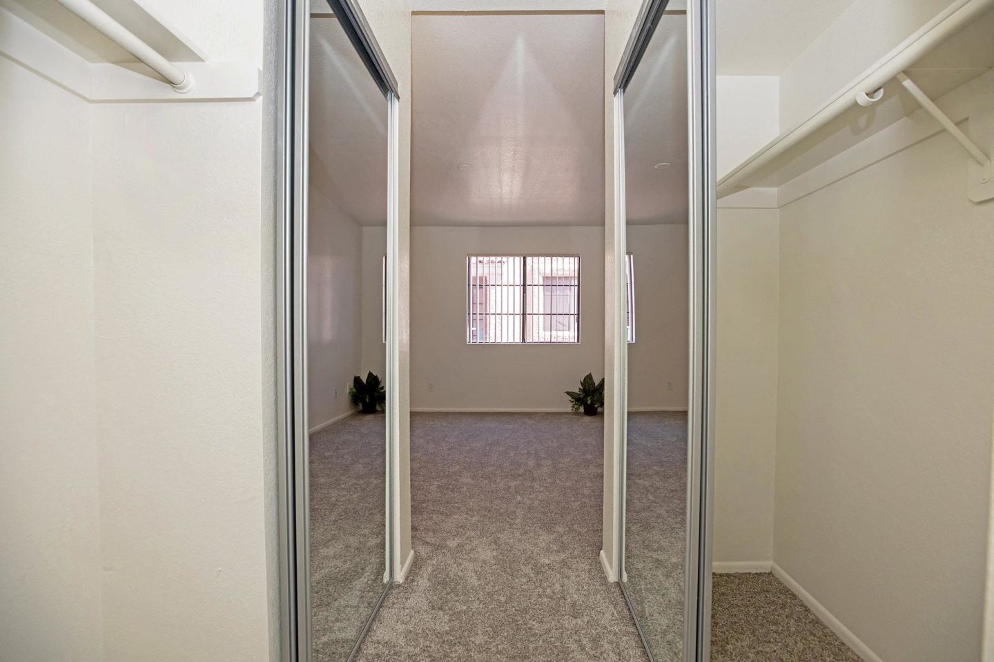 Winterhaven Terrace Image 37