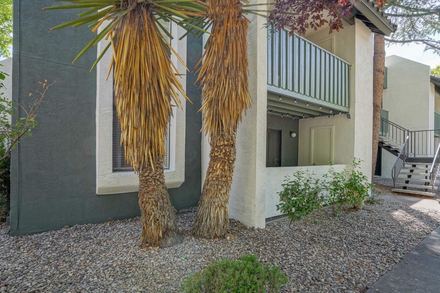 Treehouse Apartments Image 48