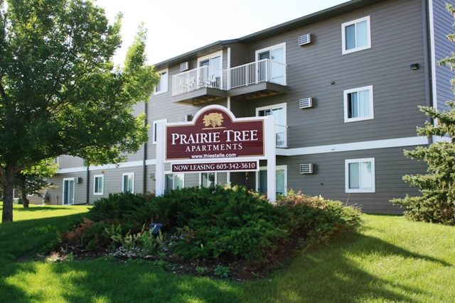 Prairie Tree Image 5
