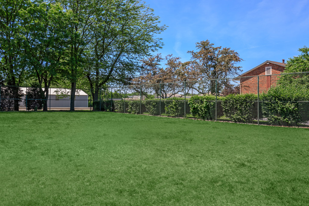 Sassafras Hill Image 10
