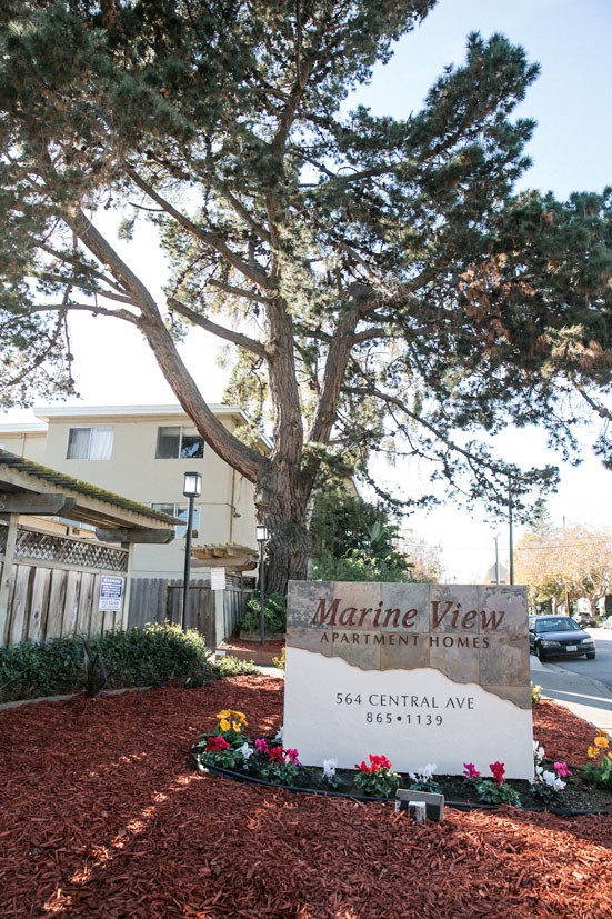 Marine View Apartments Image 1