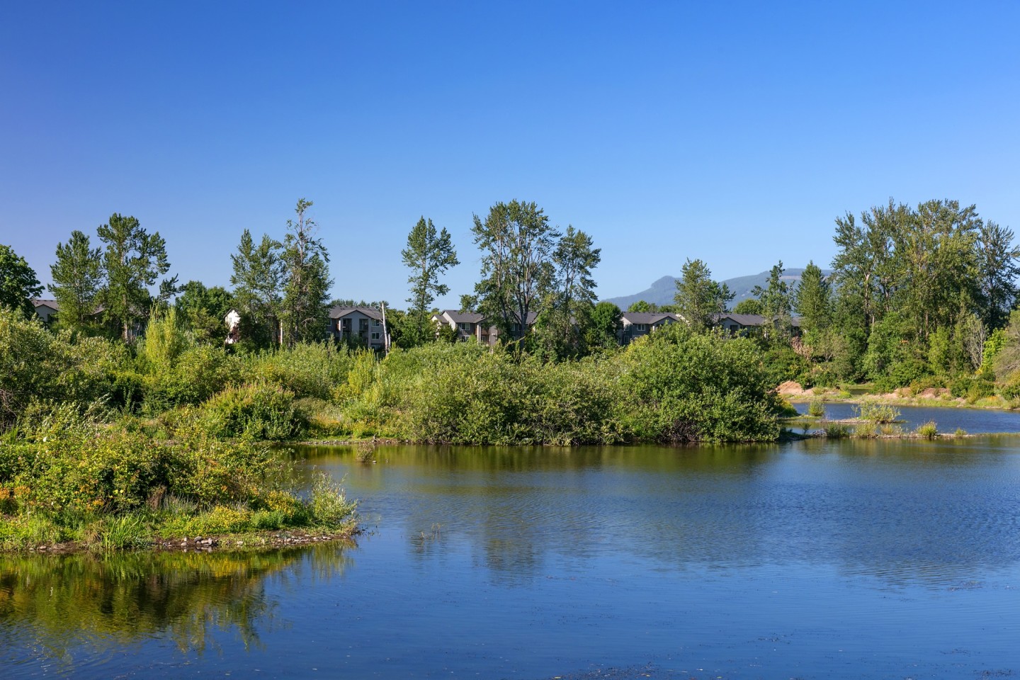 River Terrace Apartments Image 18