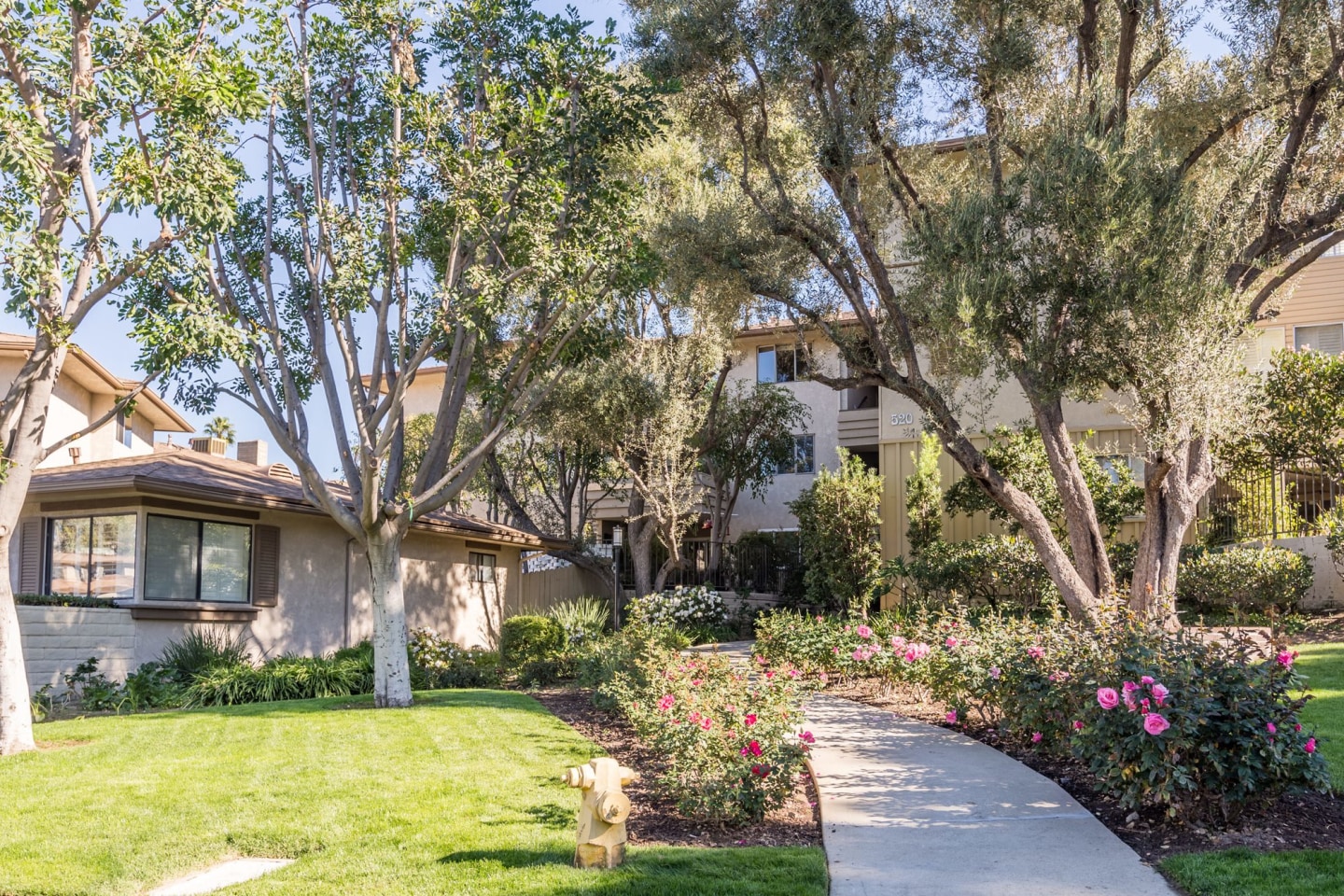 Orange Grove Circle Image 3