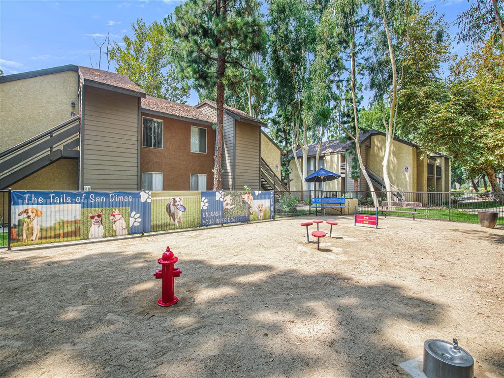 Trails San Dimas Image 62