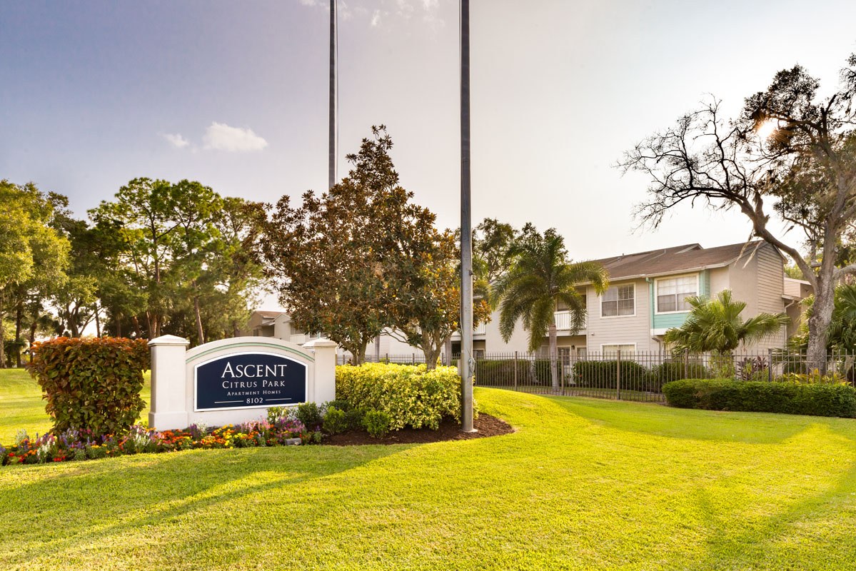 Ascent Citrus Park Image 22