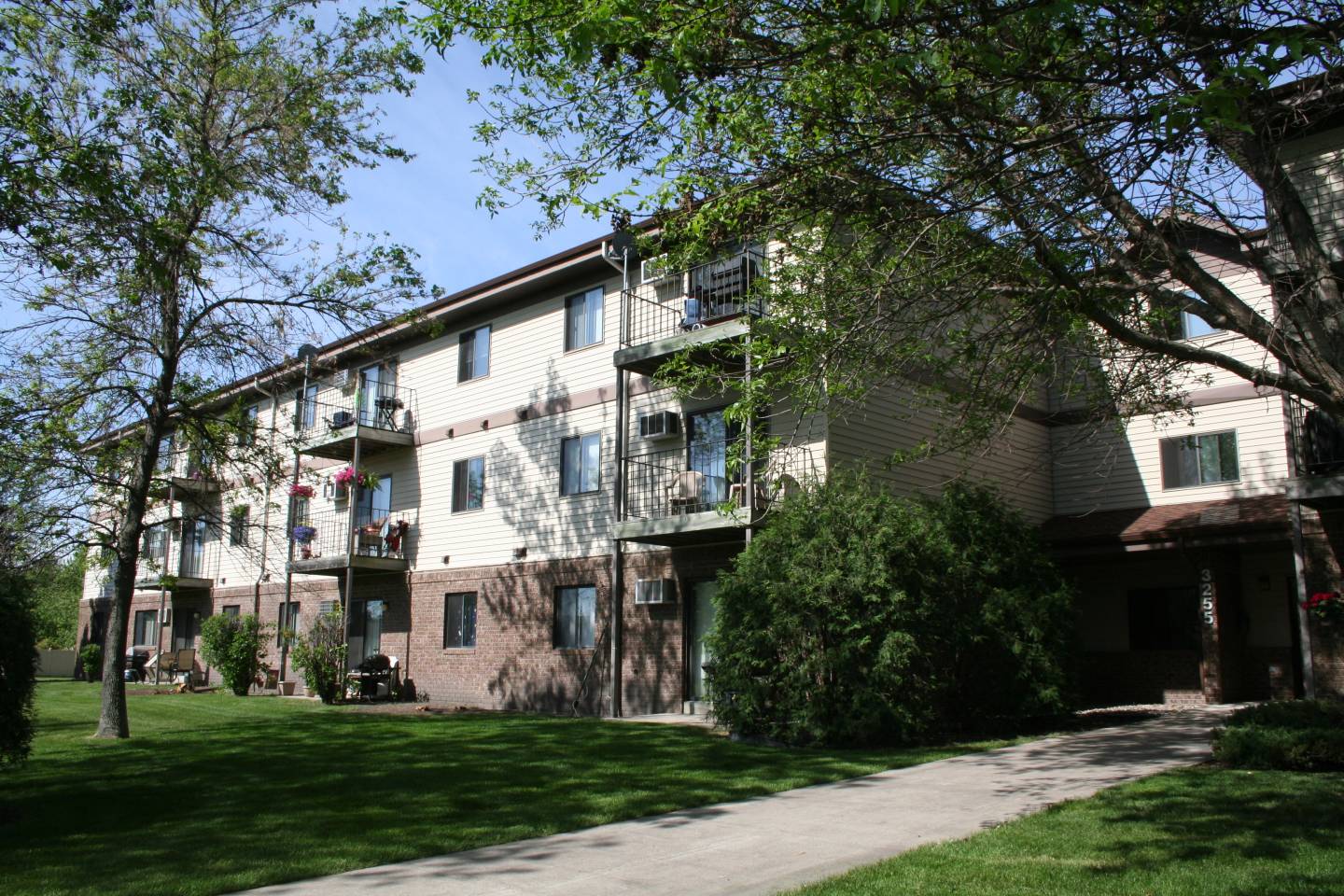 Cedar Image 1