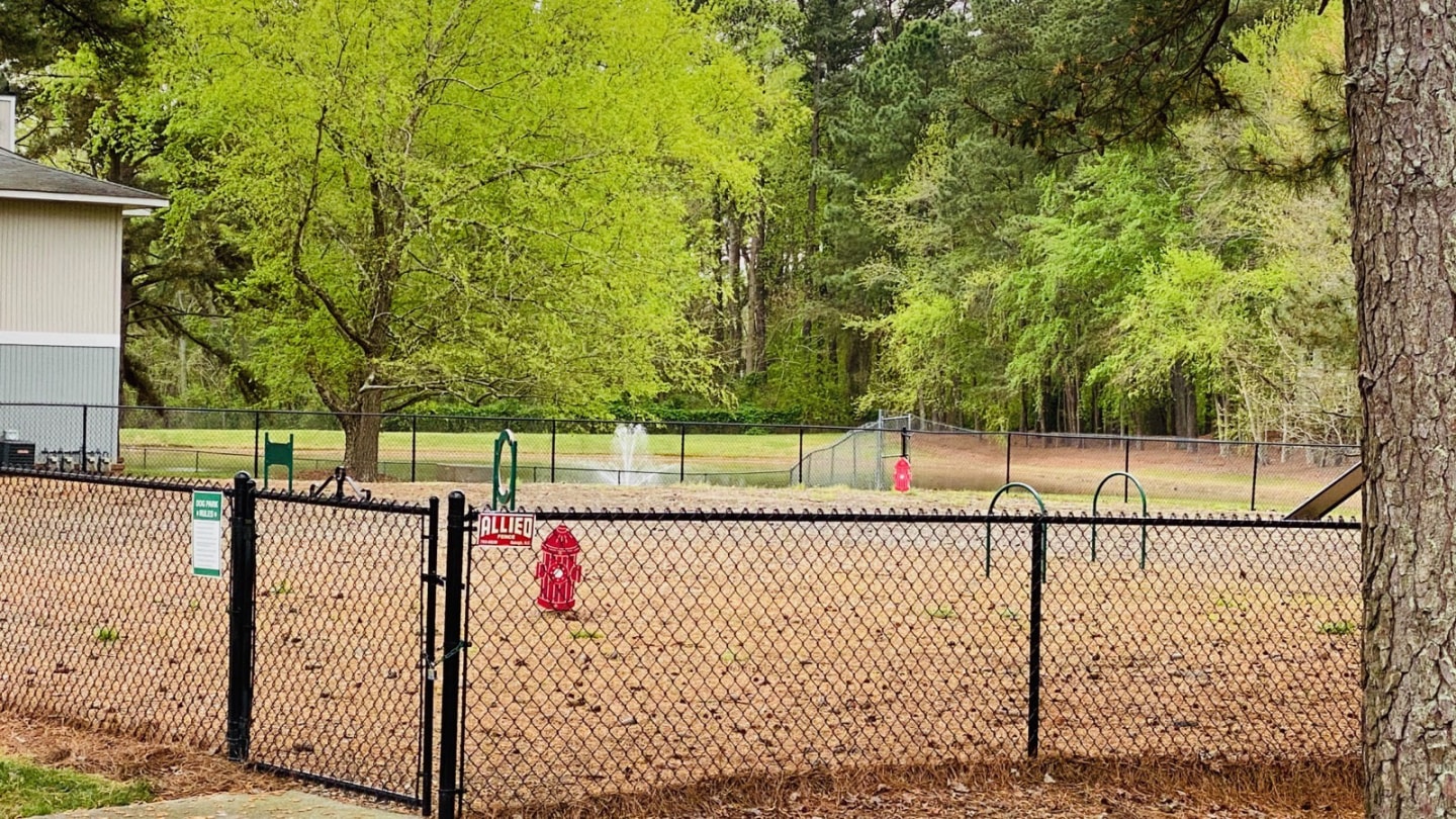 Pine Winds Image 10