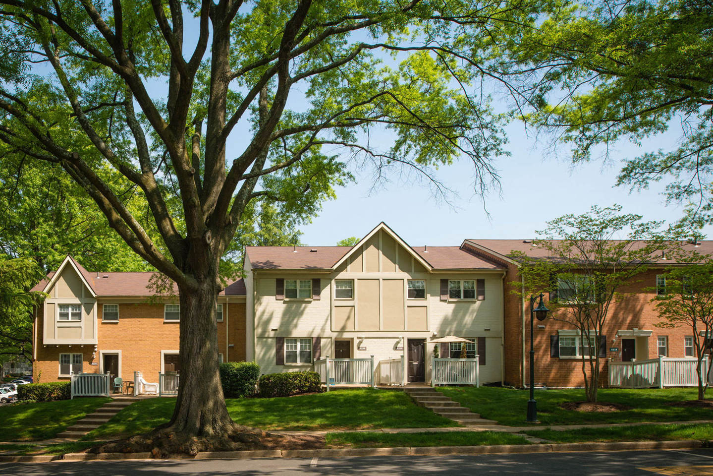 The Amberleigh Image 8
