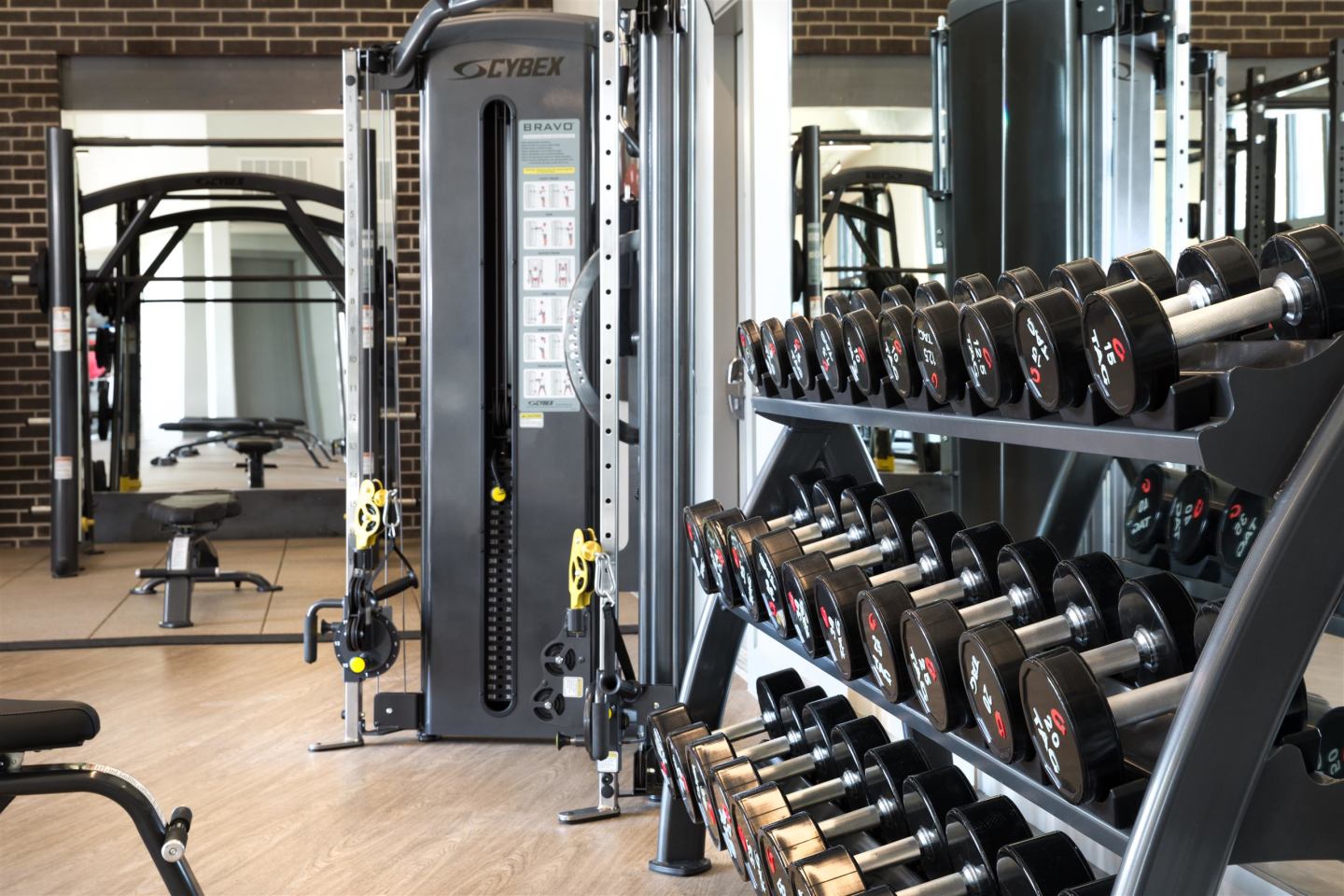 Davis at the Square Image 9