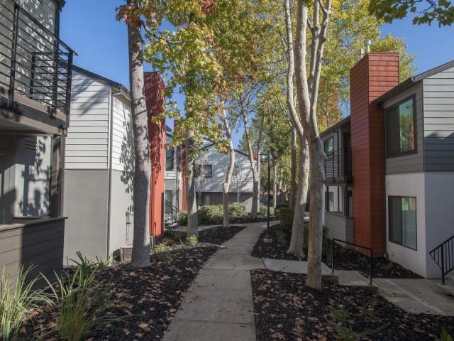Eclipse 96 Apartments Image 13