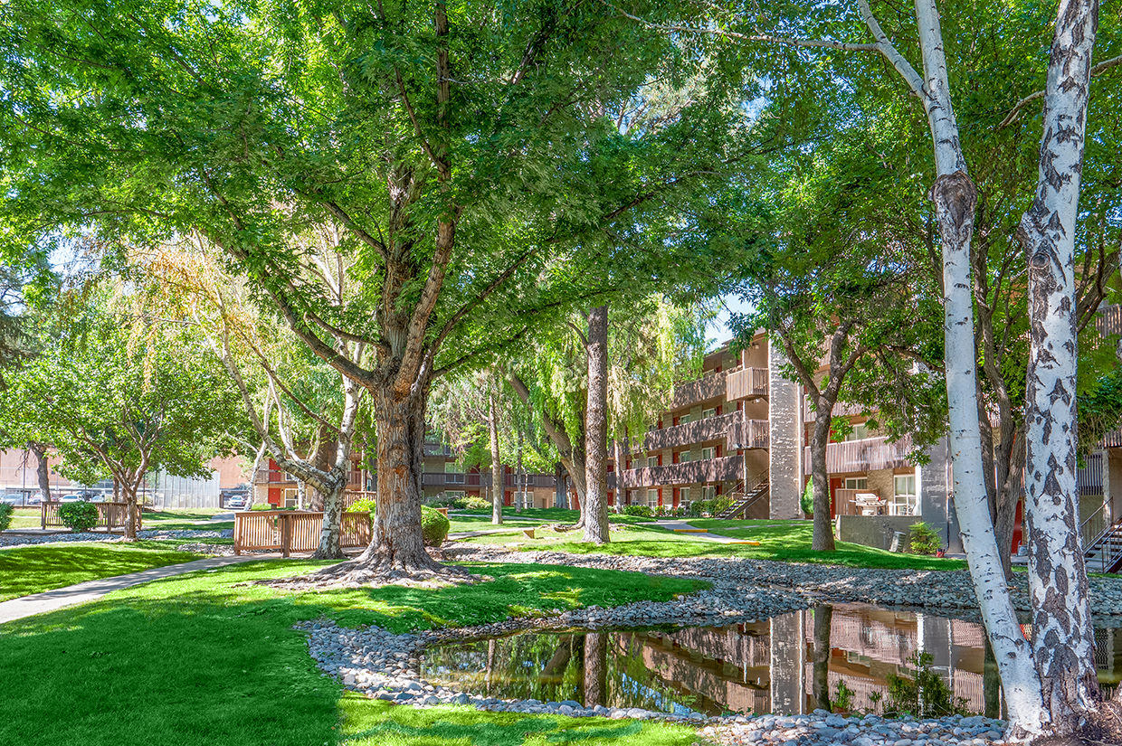 The Pearl at Spring Creek Image 7