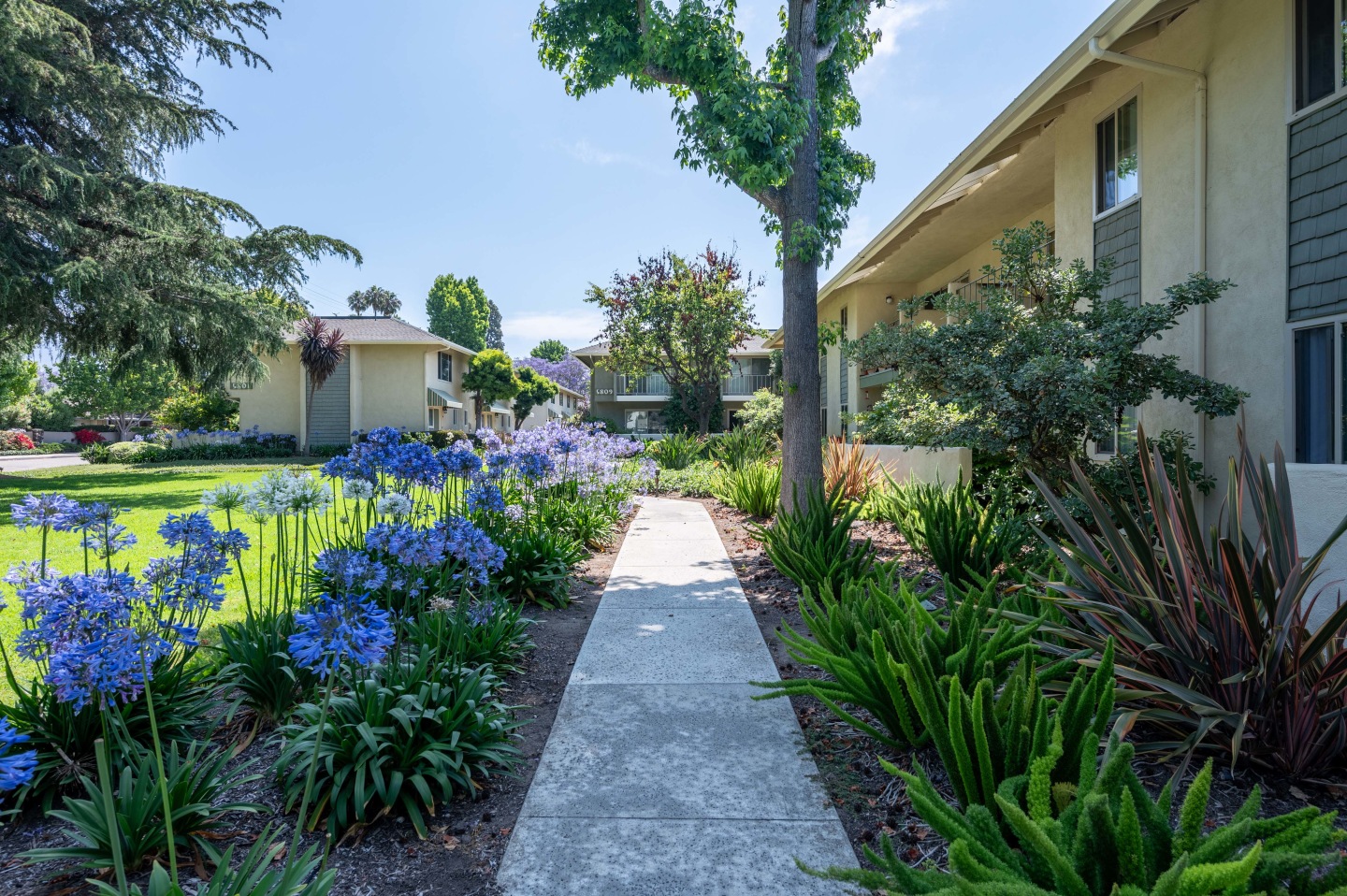 Encina Meadows Image 19