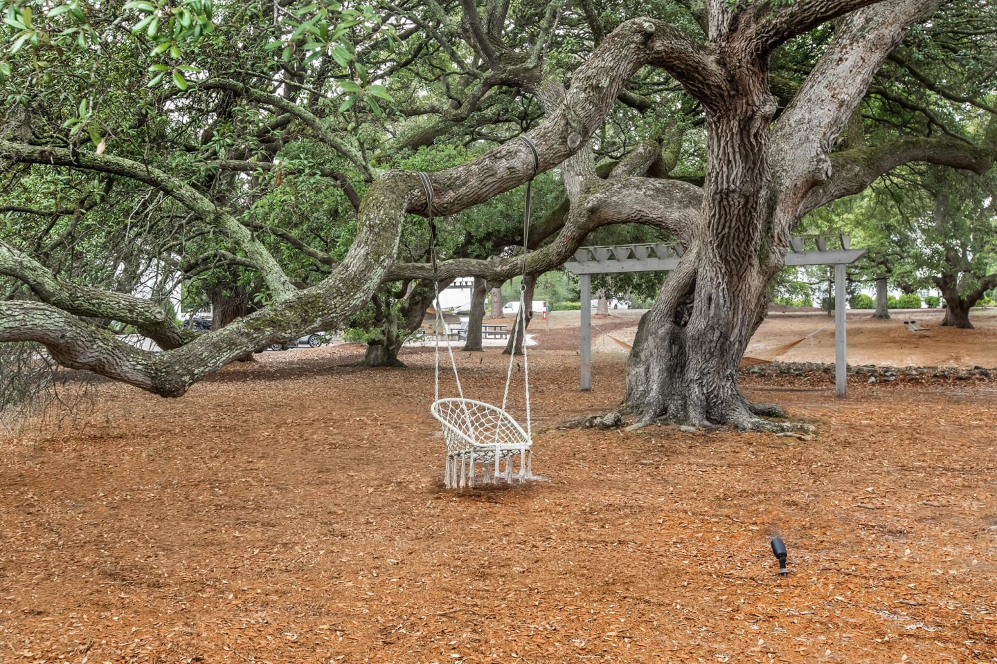 Arbor Trace Image 34