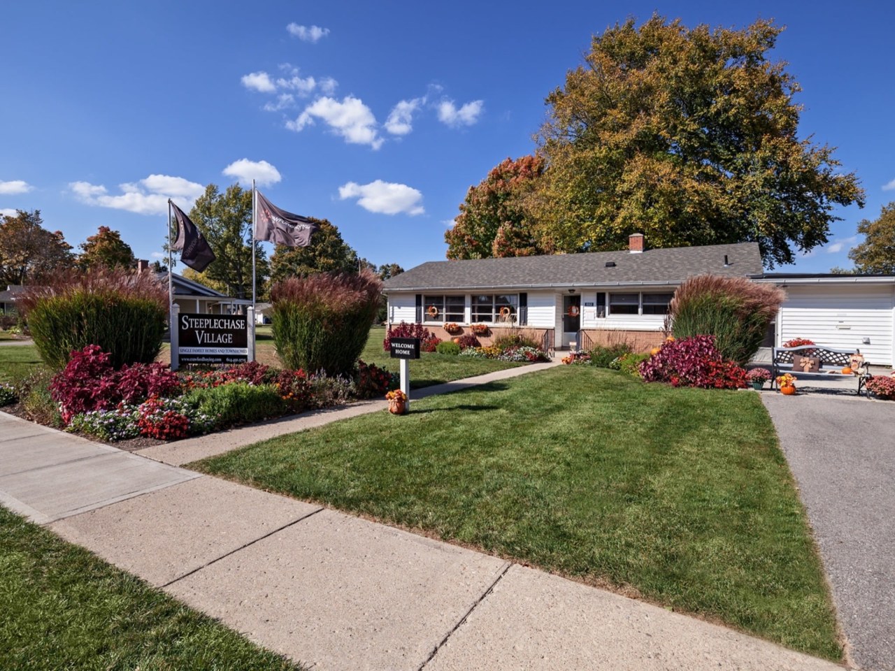 Steeplechase Village Image 5
