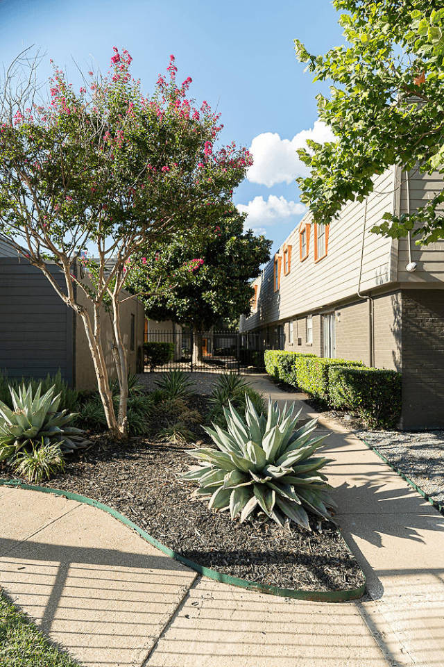 La Bella Apartments Image 7
