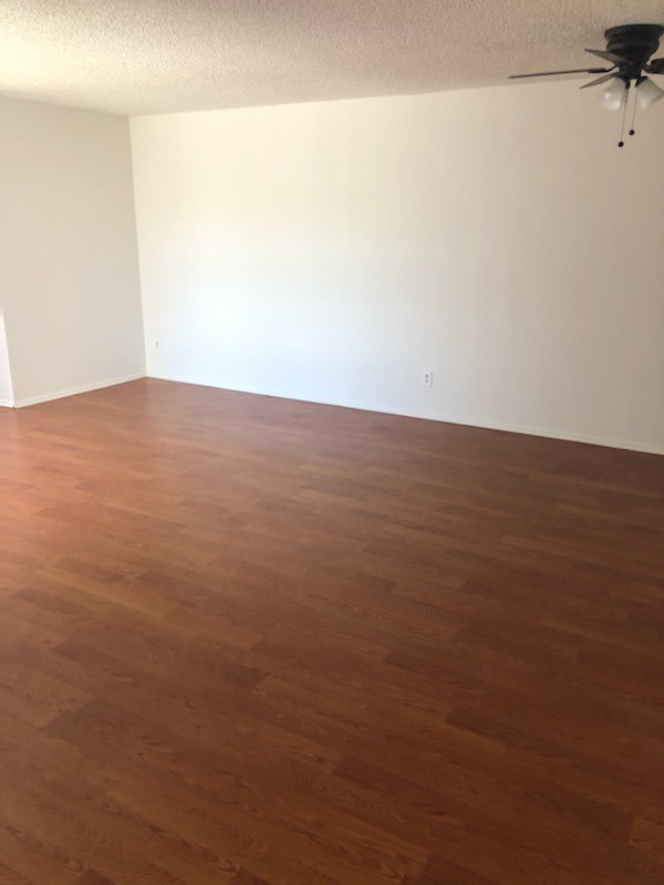 1131 E Wilson Image 3