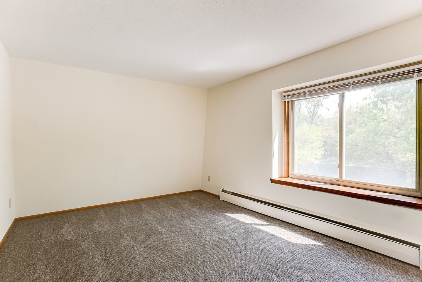 Cambridge Court Apartments Image 7