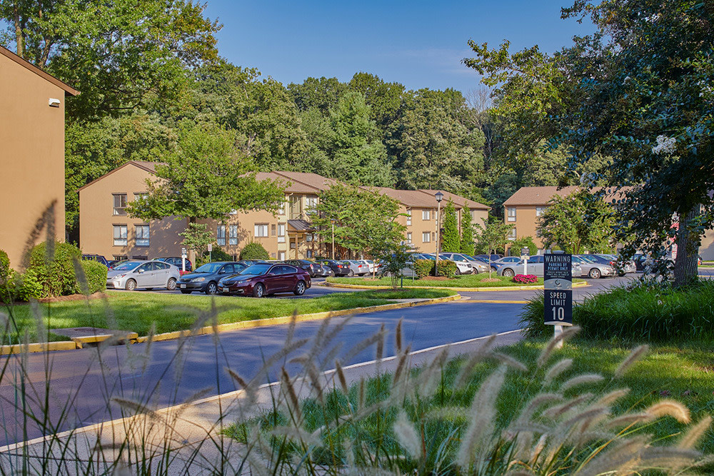 Reston Glade Image 9