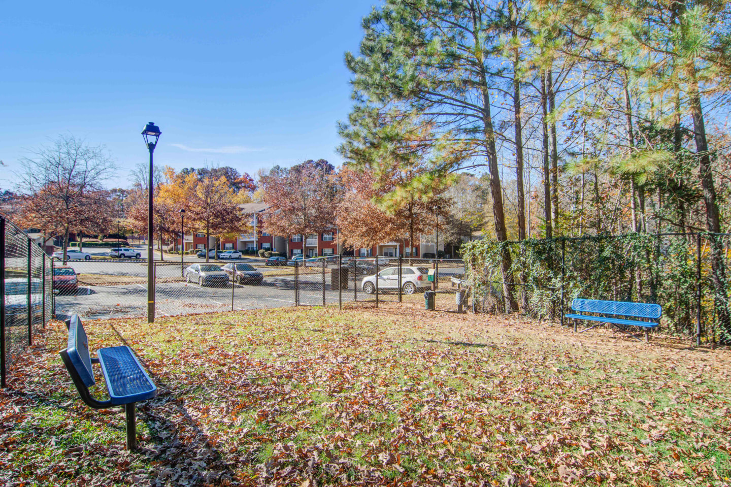 Ashford at Springlake Image 19