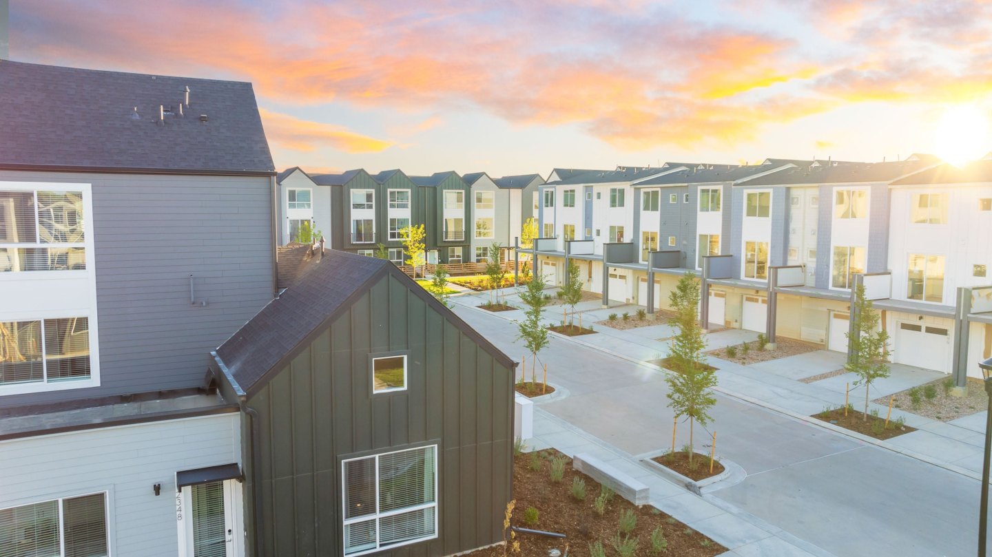 Lupine Longmont Image 1