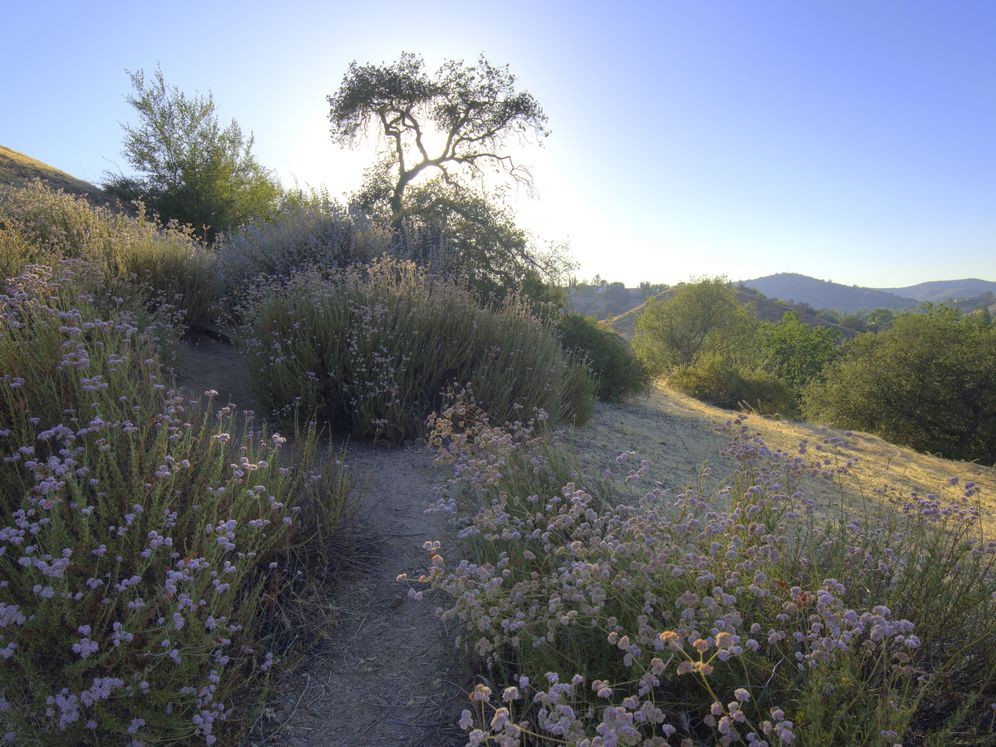 Avalon Oak Creek Image 47